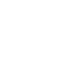 InstaDick logo